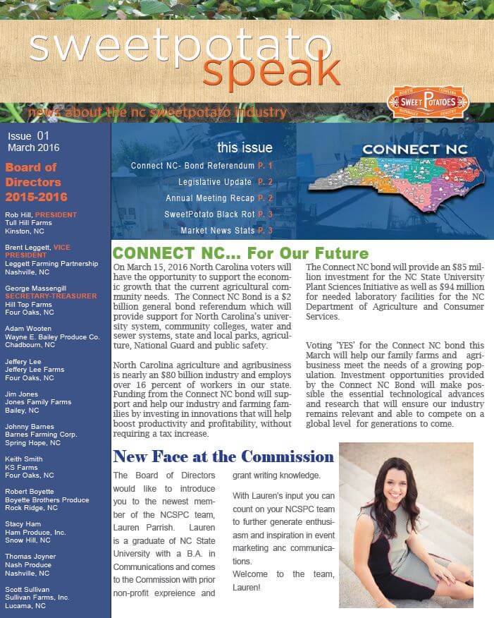 sp newsletter cover