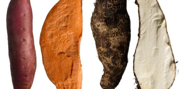 What Is The Difference Between A Sweet Potato And A Yam? | North