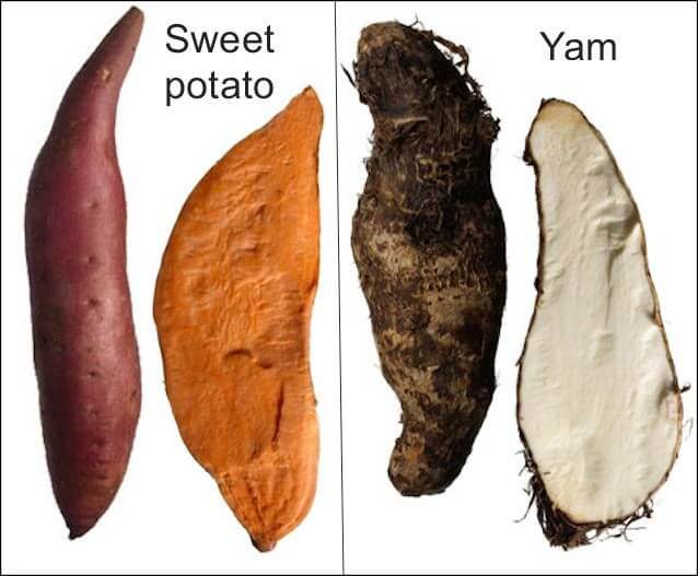 Seven Sweet Ways to Celebrate National Sweetpotato Month - North ...