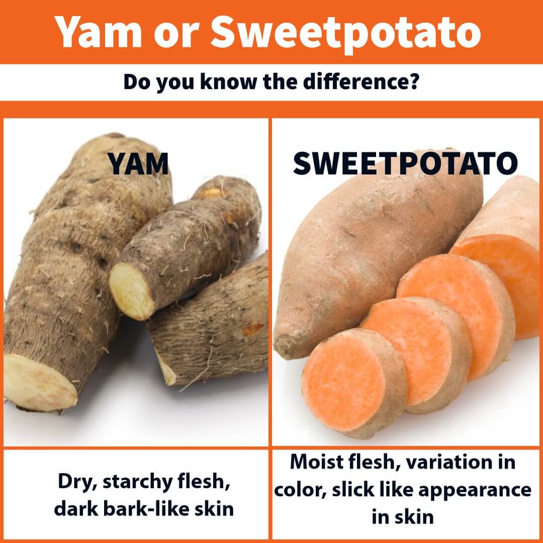 What s The Difference Between Yams And Sweet Potatoes TexAgs